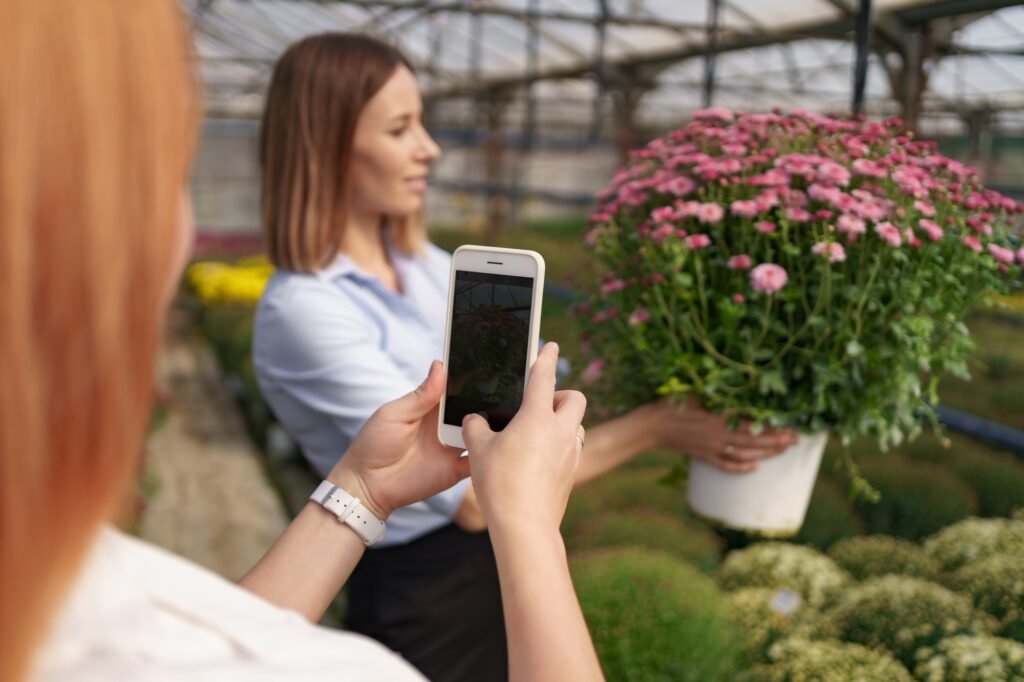 Woman taking photo on chrysanthemums